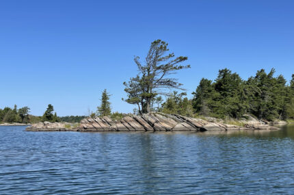 Rocks and trees of Georgian Bay.